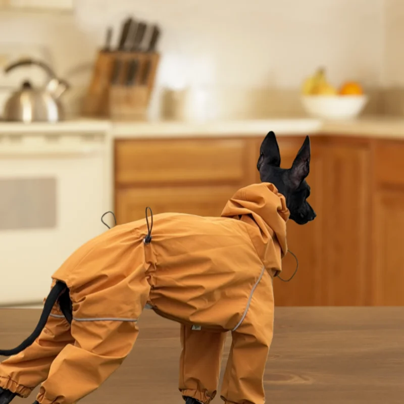 Chubasquero impermeable para perros galgo italiano y Whippet