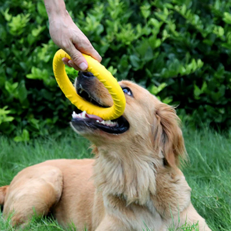 Juguete látex con anillos para perros – Masticable y resistente - imagen 4