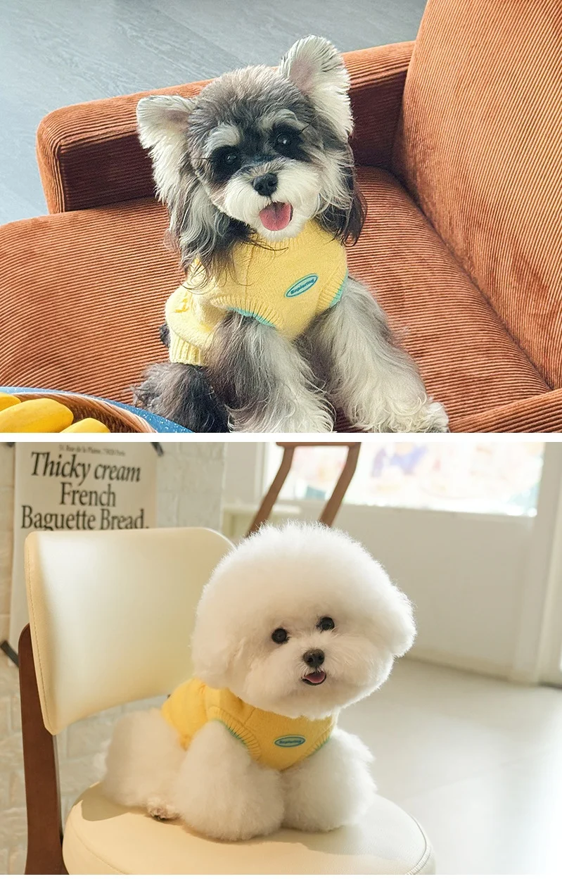 Suéter grueso para perros, ropa para mascotas de dos patas para otoño e invierno, chaleco tejido para mascotas, jersey para mascotas, prendas de punto, ropa cálida para perros, amarillo - imagen 5