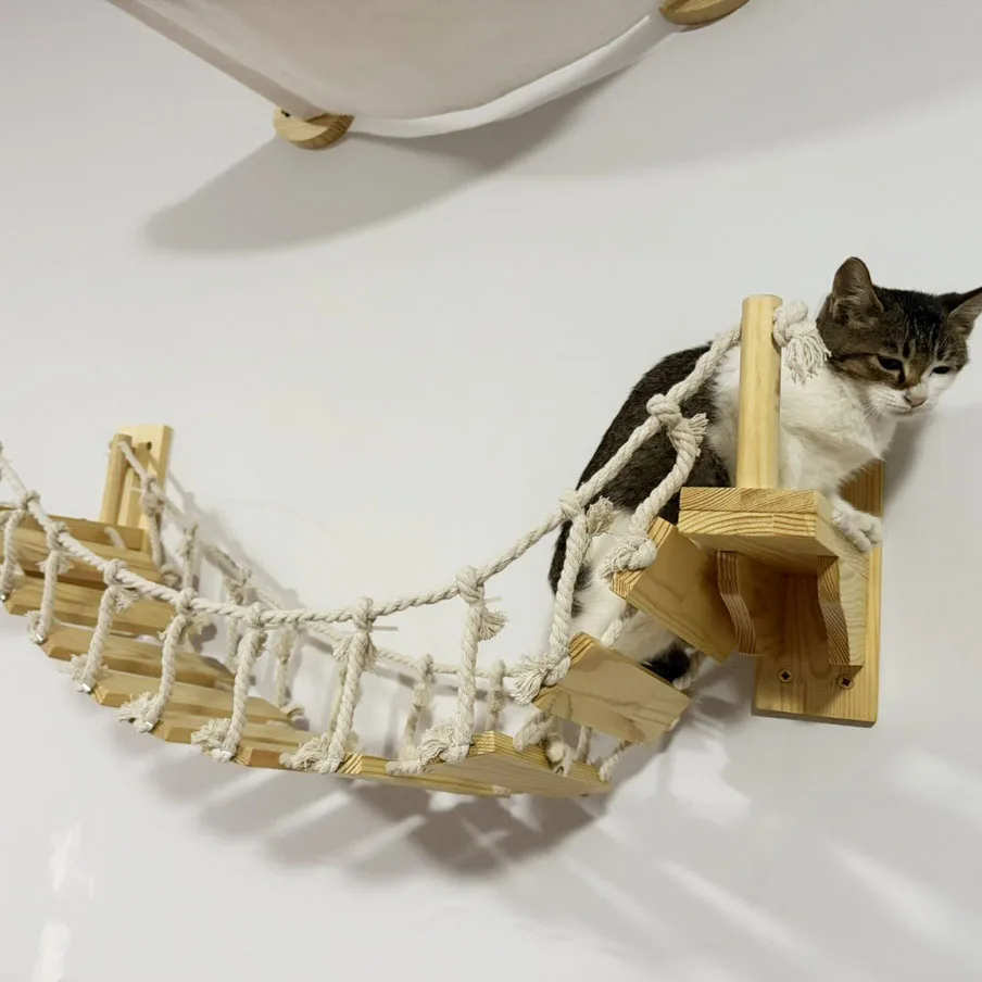 Puente de suspensión de madera maciza para gatos, escalera de escalada de Sisal montada en la pared para gatos para mover y jugar - imagen 3
