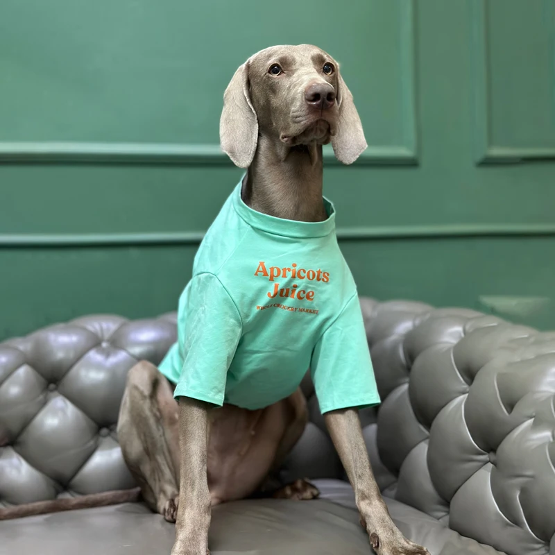 Primavera Verano fuera de ropa deportiva para perros grandes Golden Retriever Labrador trajes moda camiseta para perros medianos y grandes