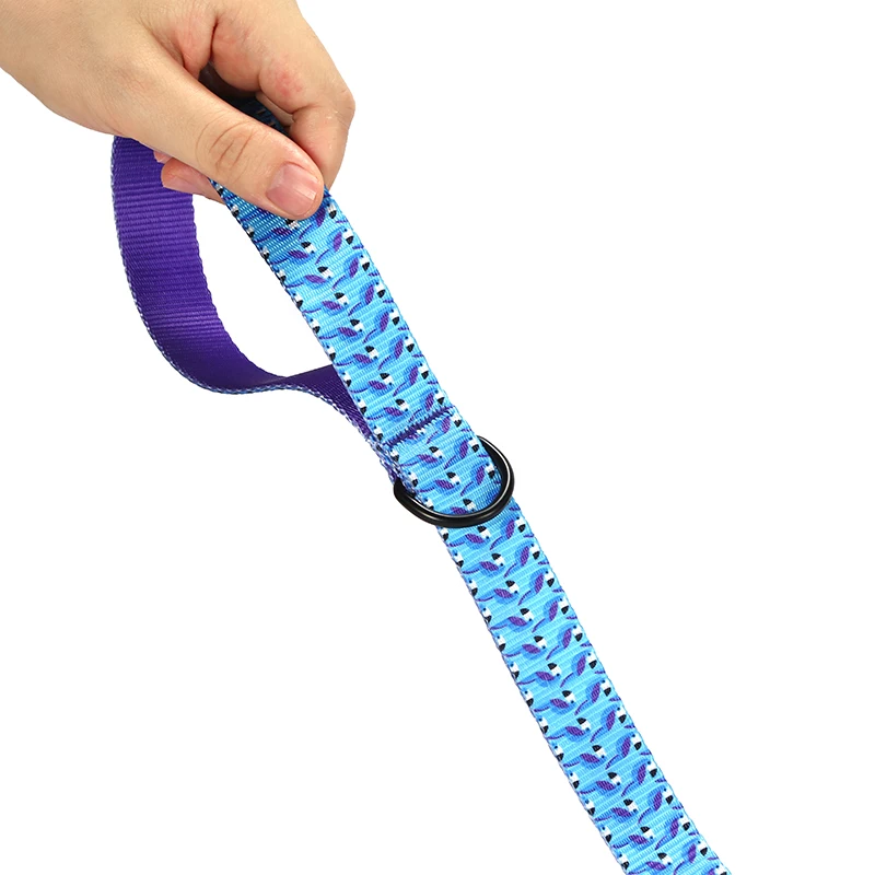 PLATTCO Correa para mascotas personalizada AZUL TOUCAN para perros pequeños, medianos y grandes para caminar todo tipo de perros 5 tamaños PDL315 - imagen 4