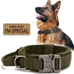 Collar de perro ajustable con hebilla de metal y parche personalizable