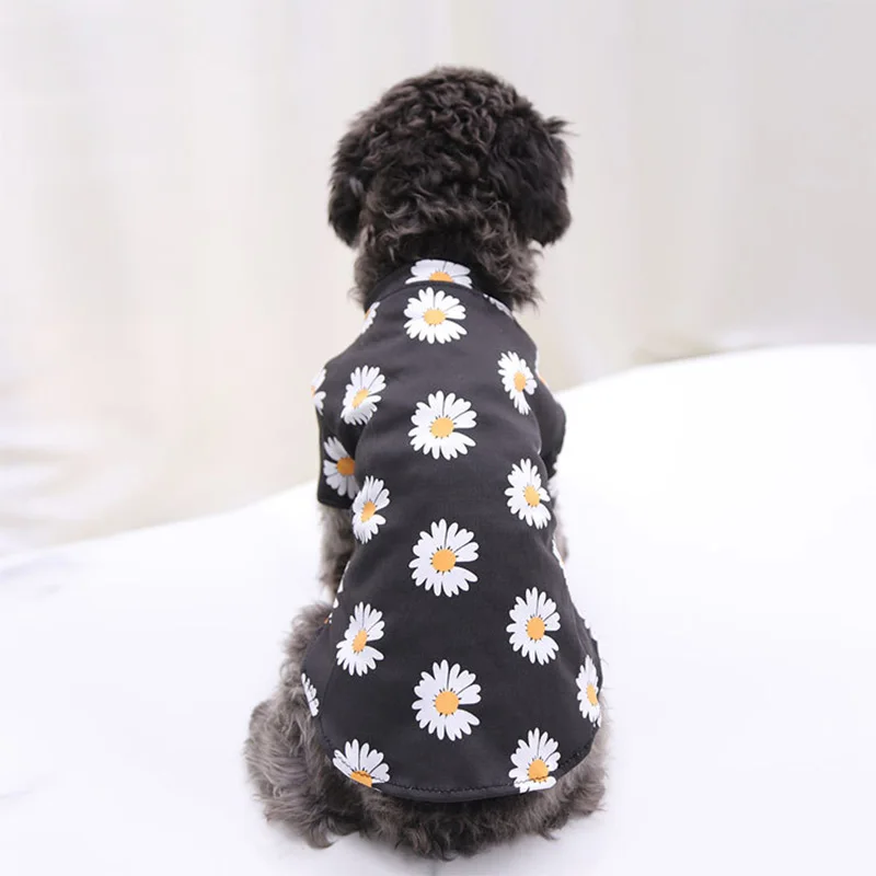 Ropa de rayas finas para perro Chihuahua, camisa básica de primavera, sudadera transpirable de alta elasticidad, Protector clásico para cachorros, ropa para mascotas - imagen 4