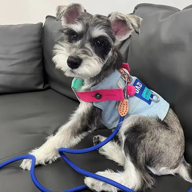 Luxury Pet Harness Summer Dog Denim Suspenders for Schnauzer Pomeranian Teddy Adjustable Harness Backpack for Pet Travel Walk - imagen 4
