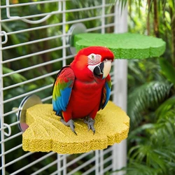 1 unidad de garra de loro con forma de hoja de Ginkgo, plataforma de pie, juguete para masticar, ejercicio de garra Natural para pájaro pequeño, loro, perca, ejercicio de garra