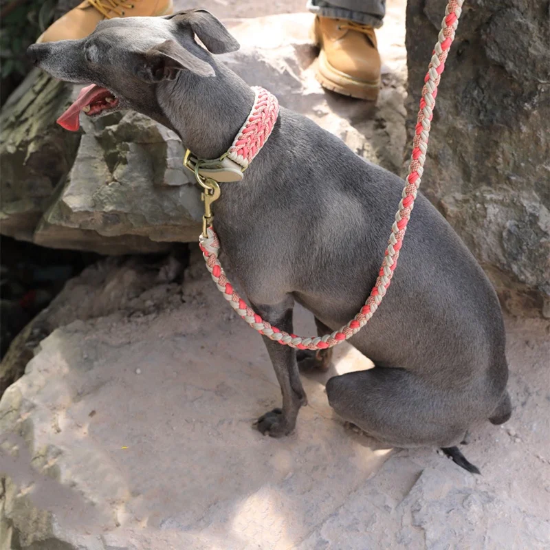 Collar de cuero tejido a mano para mascotas, conjunto de correa, Collar de perro a rayas multicolor, Collar de perro trenzado suave y ajustable con hebilla de Metal - imagen 3