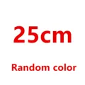 25cm
