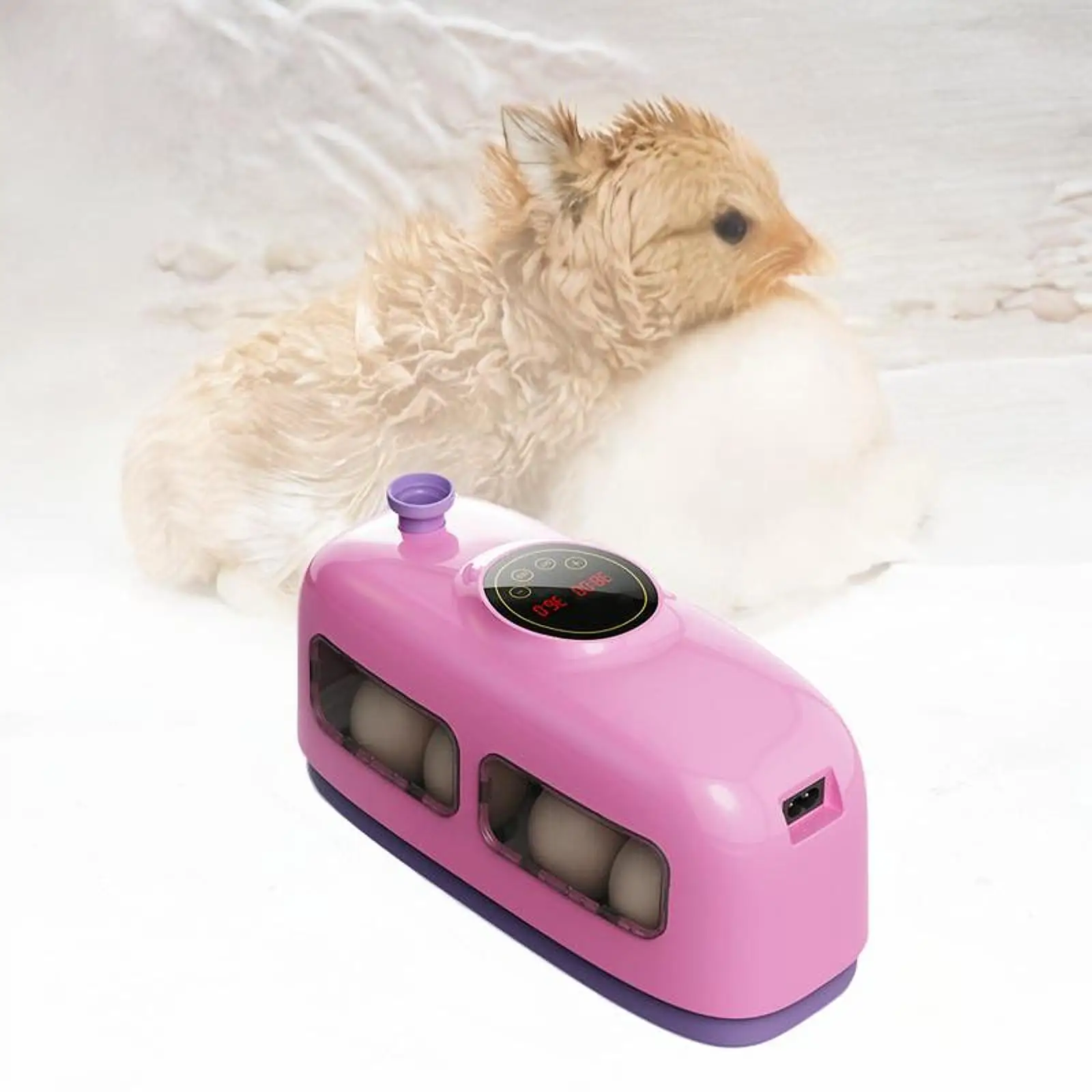 Egg Incubator Poultry Hatcher Machine Lightweight Sturdy Cute Eggs Hatching 8 Hatching Incubator for Duck Eggs Goose Bird Eggs Egg Incubator Poultry Hatcher Machine Lightweight Sturdy Cute Eggs Hatching 8 Hatching Incubator for Duck Eggs Goose Bird Eggs