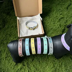 Correa de cuero suave para perros – elegante y duradera