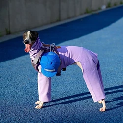 Abrigo de algodón para galgo italiano y Whippet – Suave y cálido