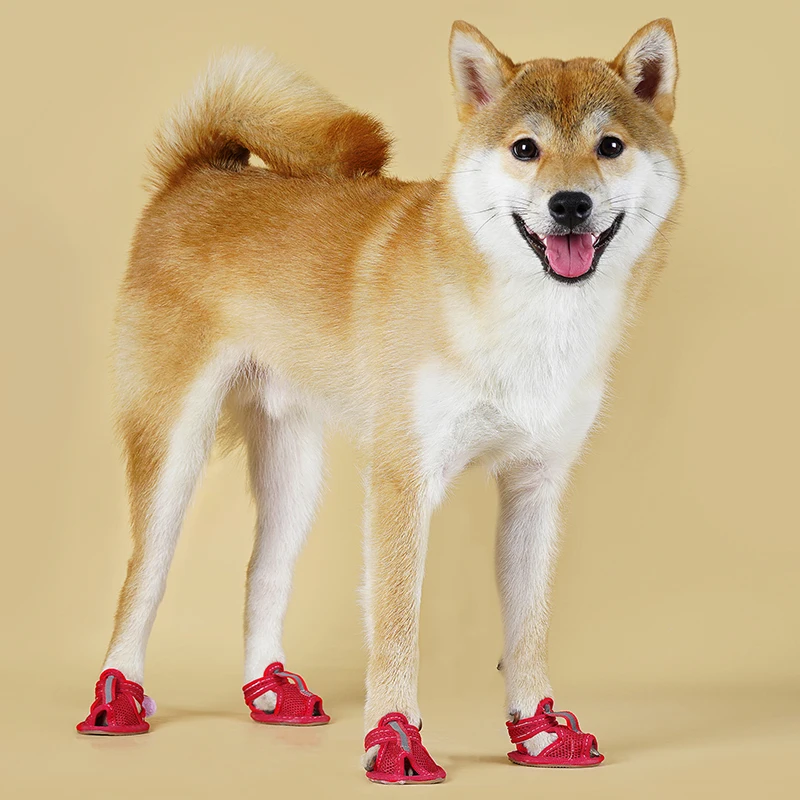 4 unids/set sandalias para perros suministros de verano para caminar para mascotas zapatos de malla transpirables para perros pequeños Pomeranian Schnauzer cachorro buty dla psa - imagen 4