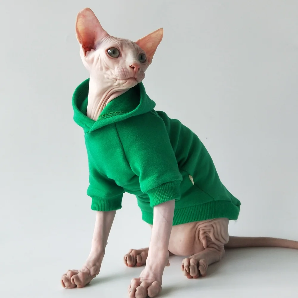 Disfraz de gato de Halloween Gato sin pelo Sombrero de bruja con capucha Otoño Abrigo de invierno Sudadera cálida de lana para gatitos Chaqueta verde roja azul - imagen 2