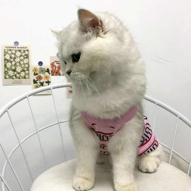 Chaleco fino para perro, chaqueta rosa para gato, Bichon Teddy, ropa transpirable, ropa de punto a la moda, suministros para mascotas, accesorios para primavera y verano - imagen 2