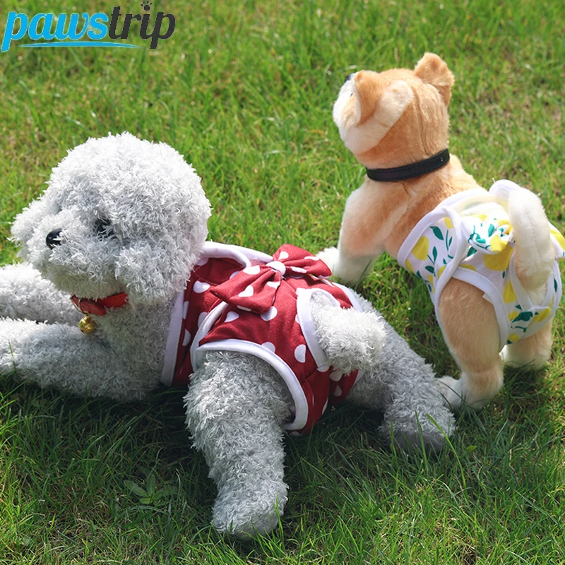 Pañales reutilizables para perros, pantalones fisiológicos lavables para perros y mujeres, ropa interior para cachorros, pantalones cortos para Menstruación de mascotas, accesorios para perros