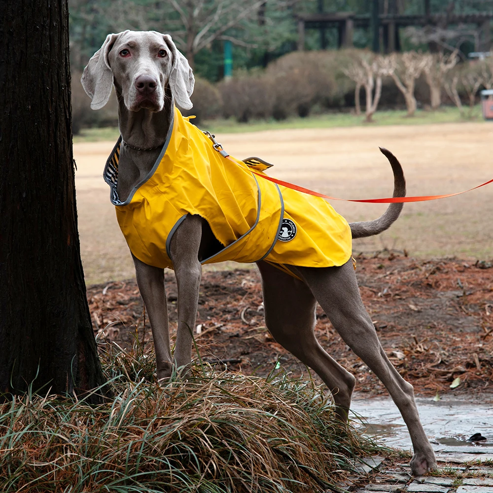 Chubasquero impermeable para perros rompevientos pequeño mediano grande Extra grande chaqueta para perros ropa Poncho para mascotas abrigo ropa para cachorros - imagen 3