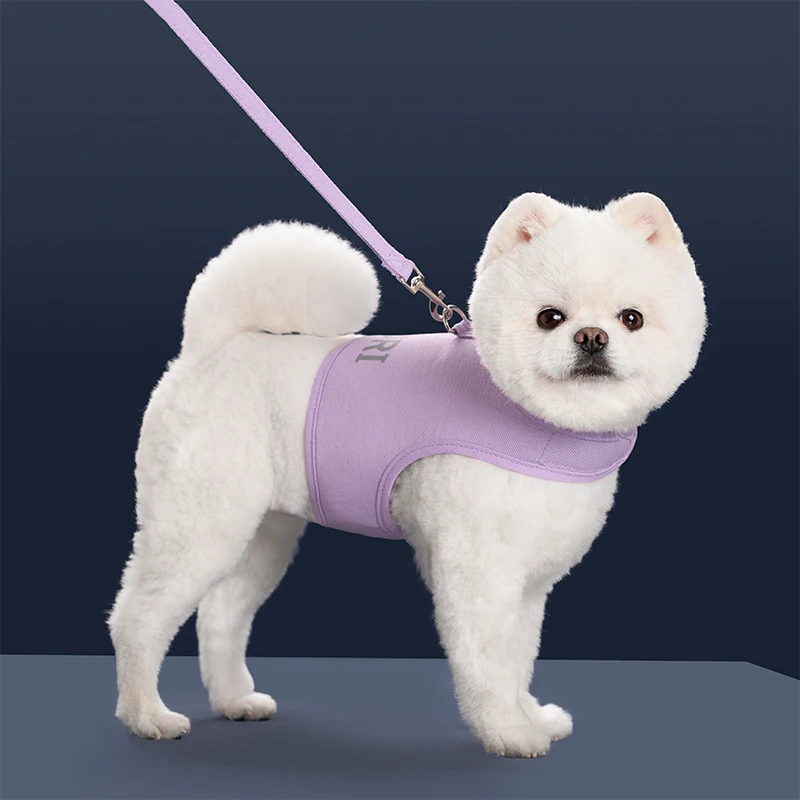 Arnés y correa para cachorros y gatos, chaleco cómodo para mascotas, ropa para perros pequeños y medianos, Collar con arnés para perros York Chihuahua, accesorios para perros - imagen 3