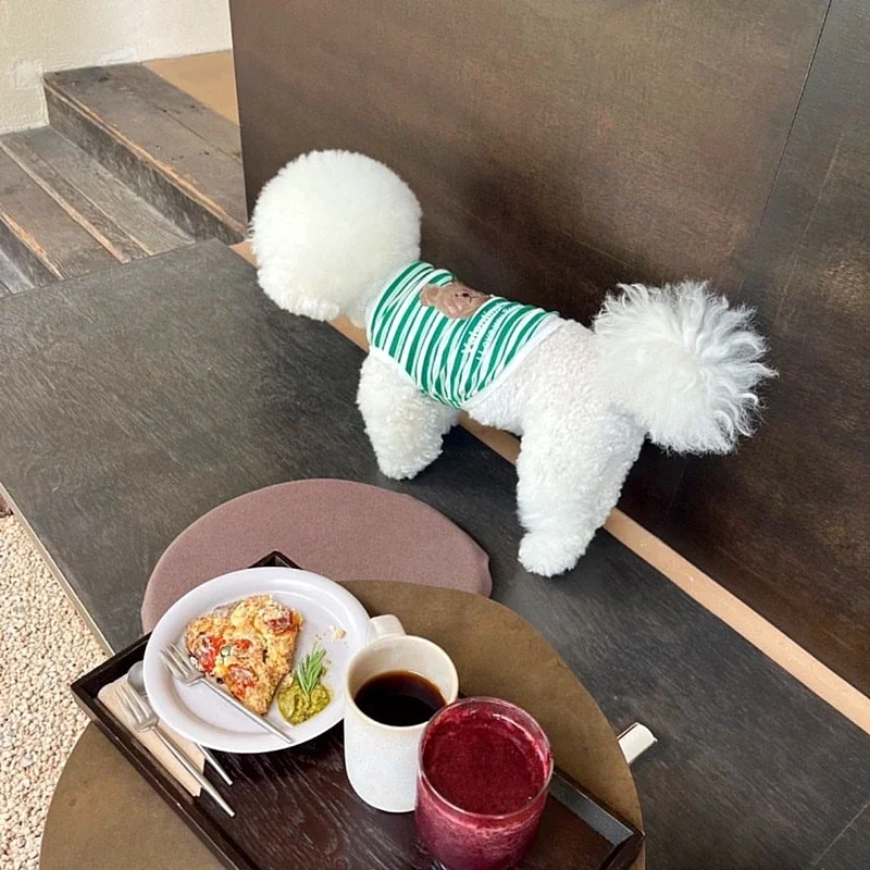 Adorable camisa de verano con diseño de oso a rayas para cachorros, chaleco para perros pequeños, ropa para gatos, traje de moda Bichon Teddy Chihuahua - imagen 2