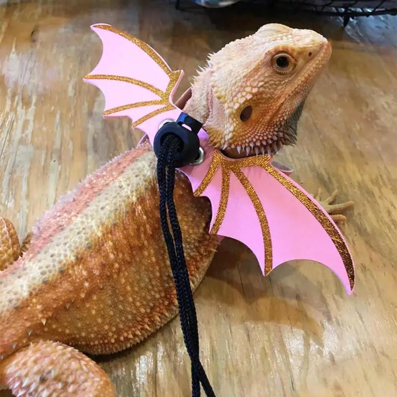 Correa de dragón barbudo ajustable para anfibios y otros reptiles pequeños, arnés de cuero suave con alas de murciélago, 3 piezas - imagen 3