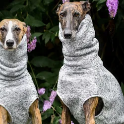 Suéter sin mangas de lana para galgo italiano y whippet