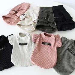 Jersey de invierno con solapa para gatos y perros – Capa suave
