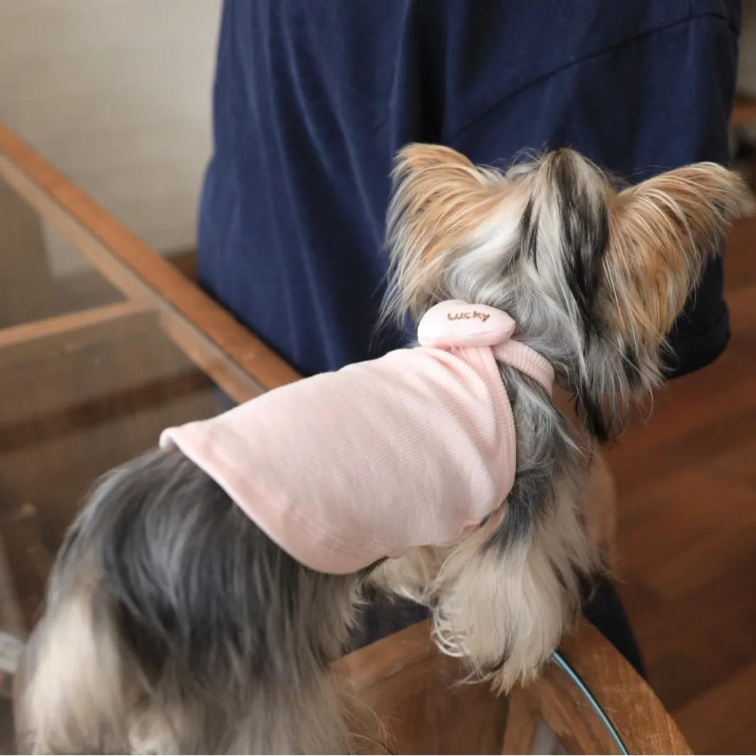 Pet primavera amor correa pequeña primavera colgante cuello chaleco pequeño perro gato Teddy Top ropa para perros para ropa de cachorro - imagen 2