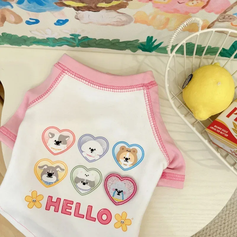 Abrigo Base bonito para perro, camiseta de otoño/invierno para mascota, suéter de felpa maltés Schnauzer, disfraz para perro, ropa para cachorro, ropa de diseñador para perro - imagen 3