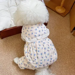 Conjunto floral otoño para gatos y perros mini – jersey suave y cómodo
