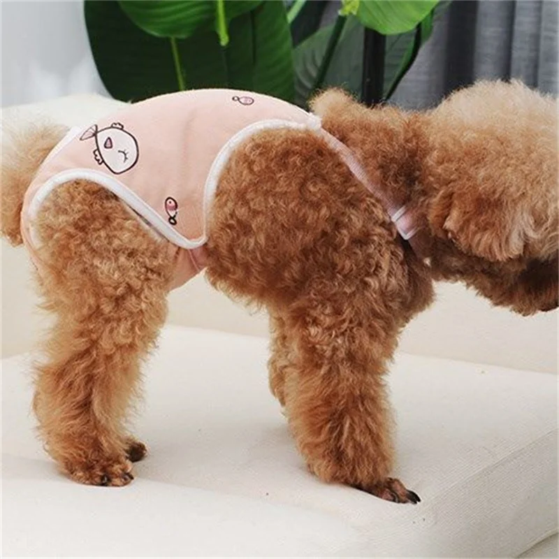 Bragas reutilizables para mascotas para perros pequeños, pantalones fisiológicos con correas, ropa interior Schnauzer caniche, pantalones de seguridad, pantalones cortos para gatos - imagen 4