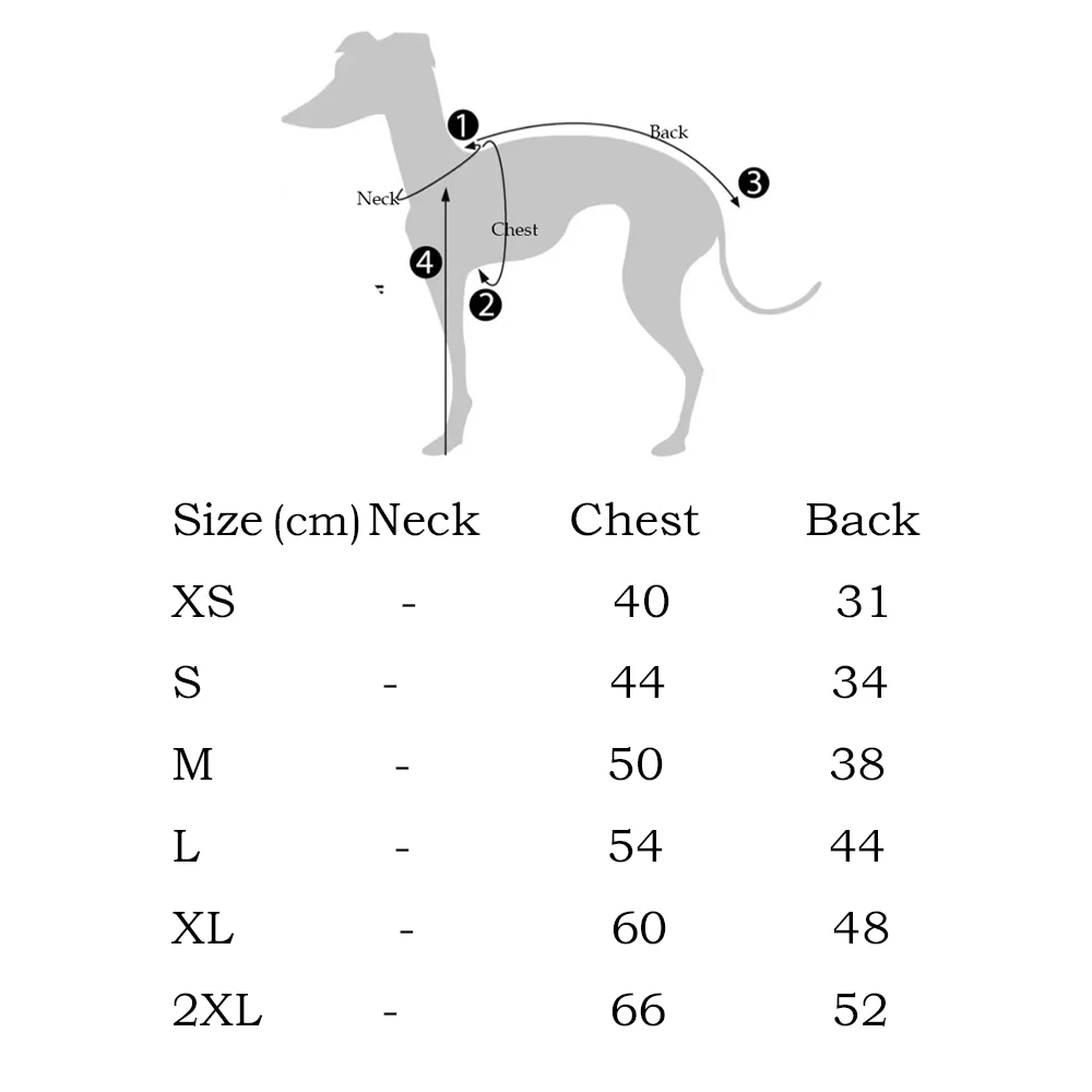 Camiseta verde de cuello alto para galgo ajustada al cuerpo