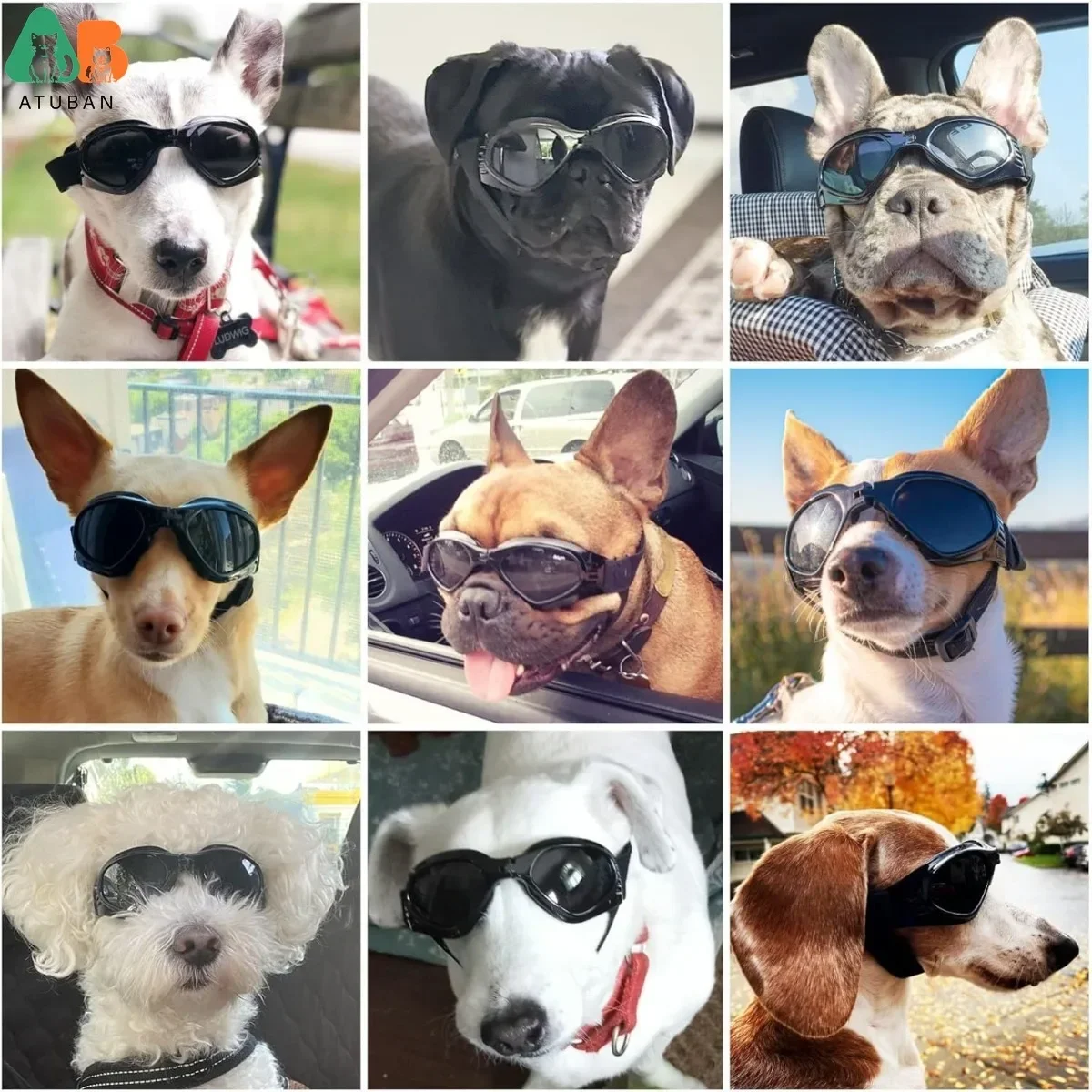ATUBAN Cool Pet Casco de motocicleta: gafas ligeras y diseño de orificios para las orejas, protección elegante para perros pequeños, montar y conducir - imagen 3