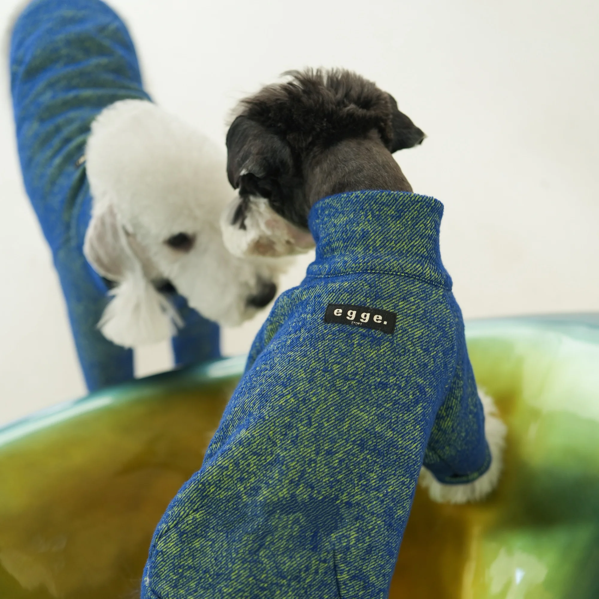 Sudadera de Tencel de lana cálida de Año Nuevo para Bedlington, abrigo rojo suave y transpirable, chaqueta navideña para galgo italiano en invierno - imagen 4