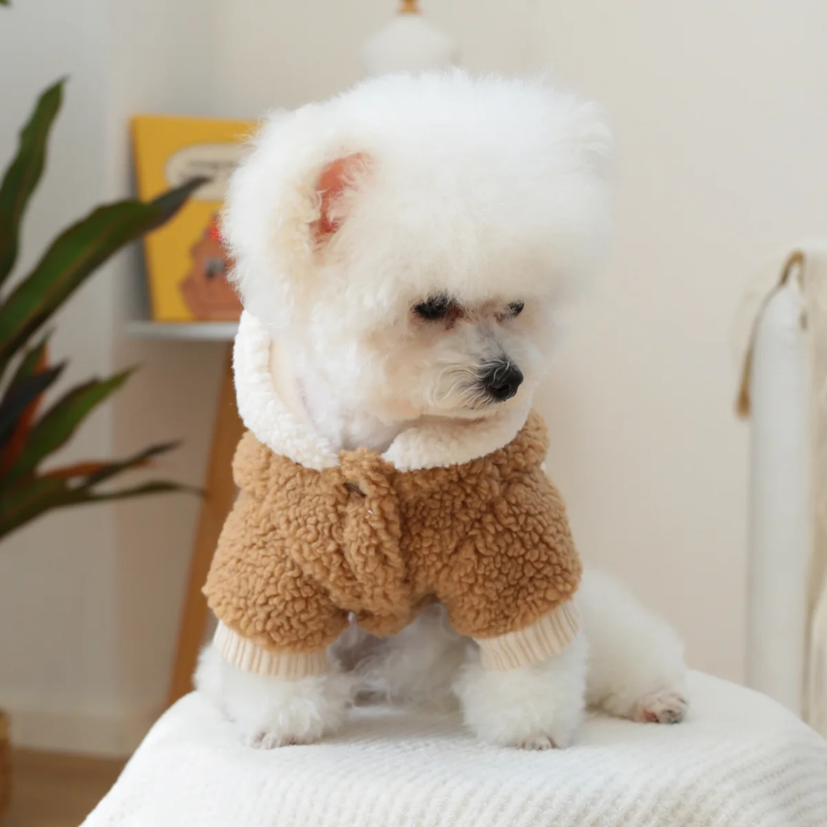 Chaqueta con capucha de felpa para mascotas, chaqueta bordada en contraste, ropa para perros pequeños y gatos, Sudadera con capucha de lana de cordero gruesa para Otoño e Invierno - imagen 3