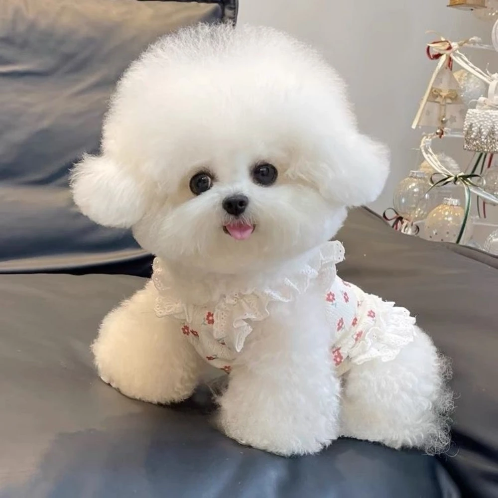 Camisola Floral de primavera para mascotas, camisola de encaje, vestido corto de princesa, Top para perros y gatos, ropa para perros pequeños - imagen 4