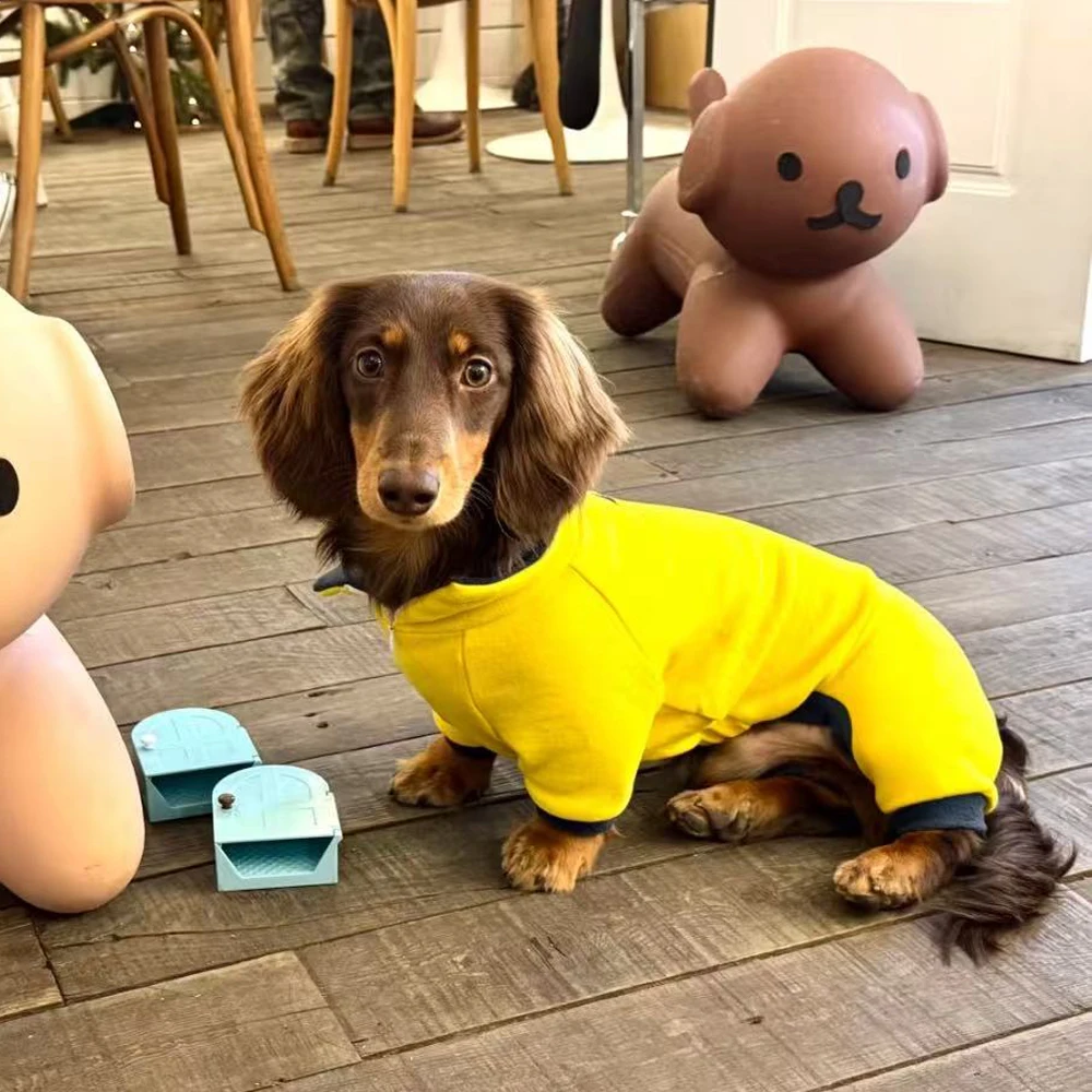 Suéter de lana amarillo cálido para perros salchicha, sudadera de cuello alto de 4 patas para insignias de perros, abrigo de invierno a prueba de viento para perros Wiener - imagen 2