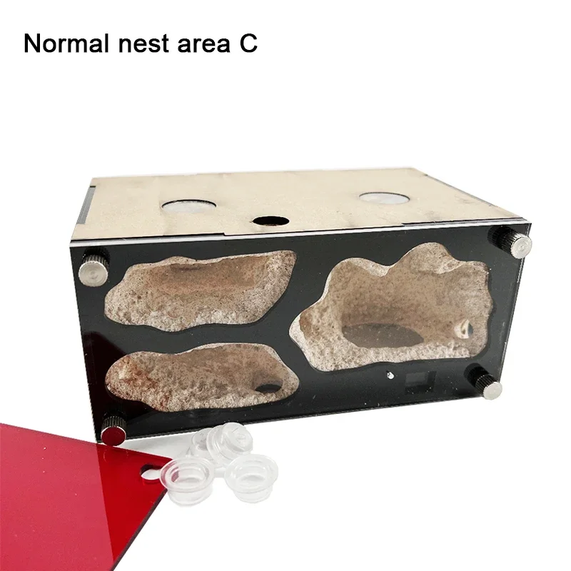 Normal nest area-C