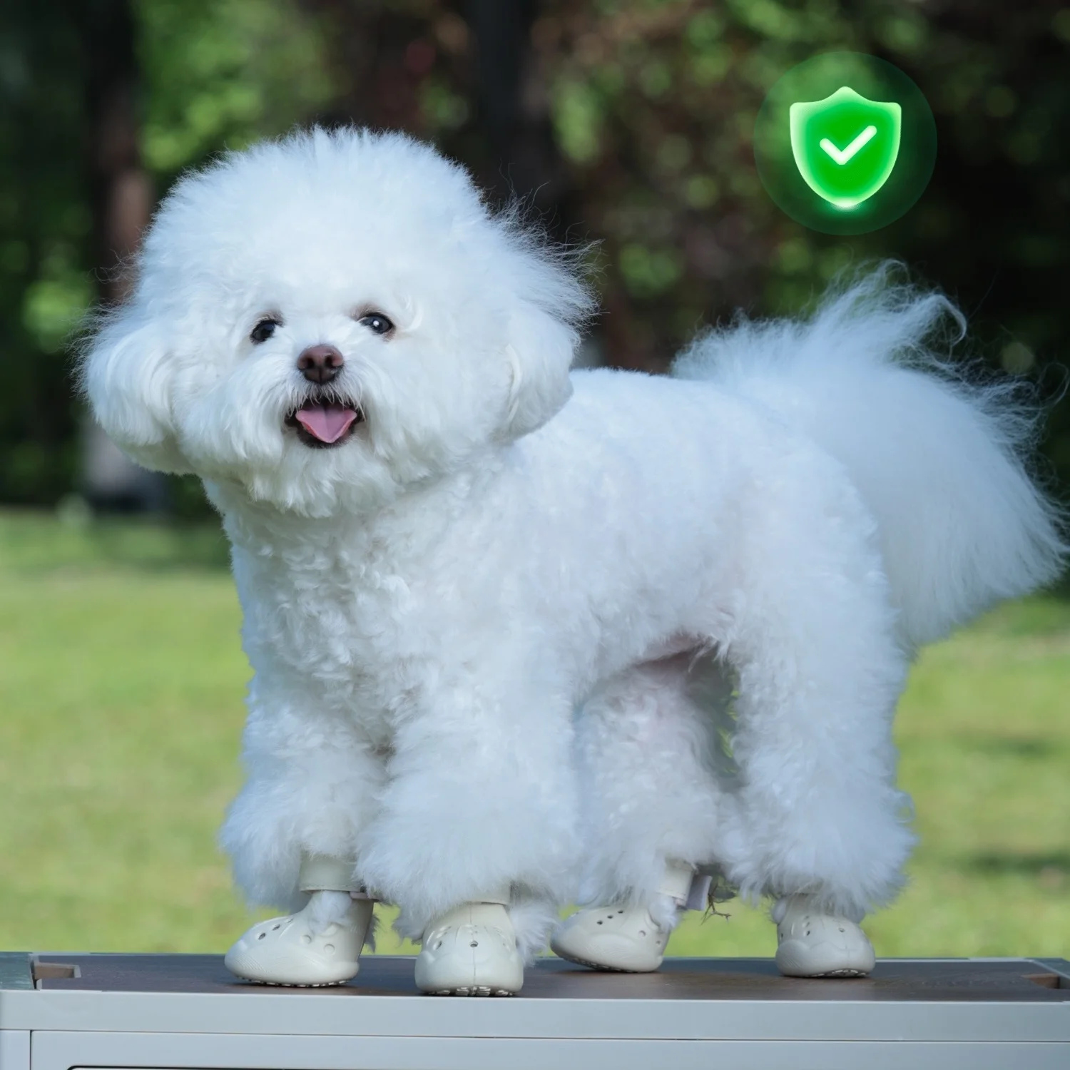 Zapatos de zuecos para mascotas, sandalias de verano para perros, zapatos transpirables duraderos para perros, zapatos impermeables para la lluvia para mascotas, zapatos de zuecos para perros y gatos - imagen 4