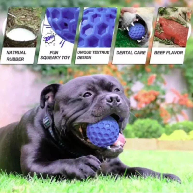 Nuevos juguetes para perros, resistentes a mordeduras, interactivos, bolas de panal con sonido, goma Natural, juguetes para dientes limpios, productos para mascotas - imagen 3