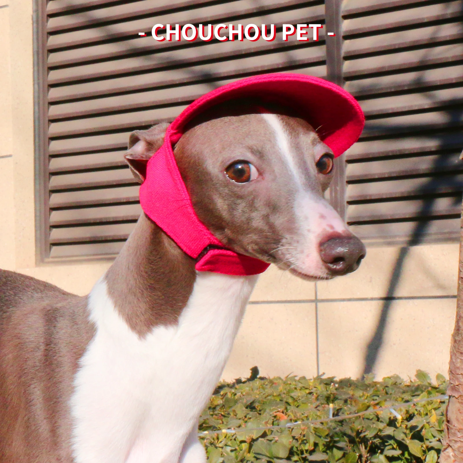 Una gorra de béisbol transpirable para perros, sombrero para el sol para mascotas para uso al aire libre, sombrero para el sol informal para perros, sombrero moderno y fresco para gatos y perros - imagen 4