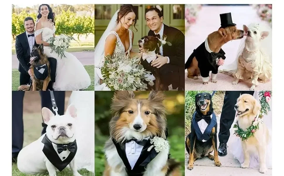 Big Dog Tuxedo Evursua Pet Wedding Costumes