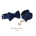 Bow Collar Leash Set