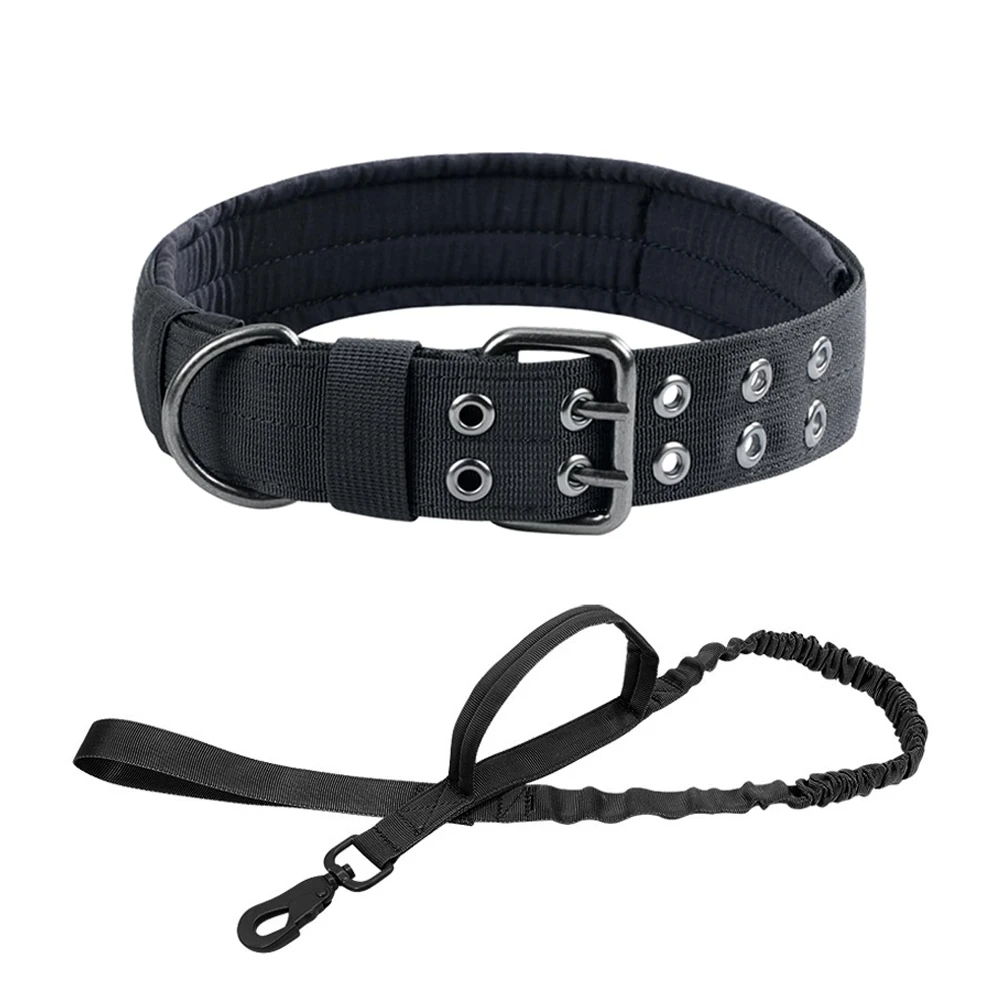 BK collar leash