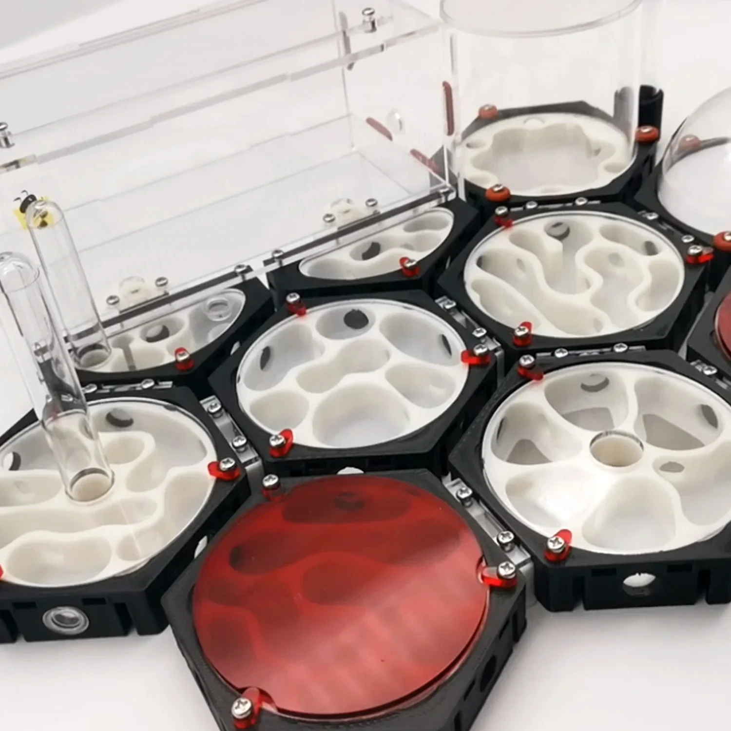 Estación espacial de hormigas de granja de hormigas de expansión ilimitada, bebedero, nido de hormigas hidratante, taller de antill para mascotas, estructura de panal, casa de hormigas - imagen 3