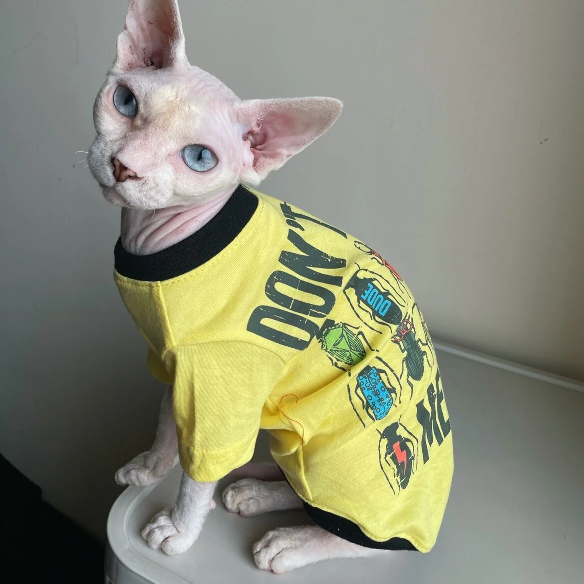 Pijama de manga larga amarillo para gato Devon Rex
