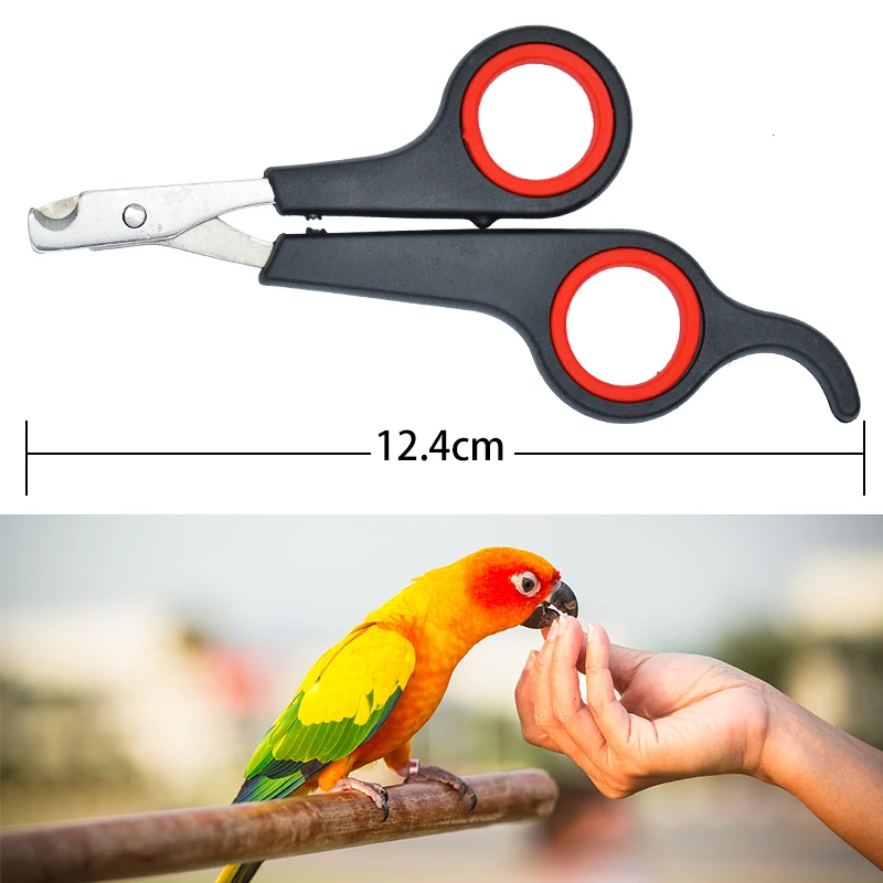 Tijeras de uñas para mascotas, cortaúñas para perros y gatos, herramienta para el dedo del pie, recortador de uñas de conejo, cortador de patas de pájaro, 12cm - imagen 4