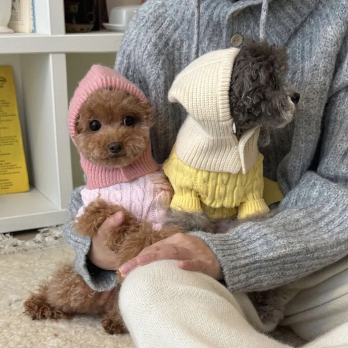 INS-Sombrero de punto con cubierta cálida para mascotas, decoración para perros pequeños, accesorios para perros de peluche, otoño e invierno - imagen 2