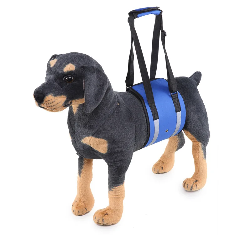 Cinturón de ayuda para perros mayores y discapacitados - imagen 3