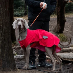 Chaqueta impermeable para perros grandes con bolsillos y protección