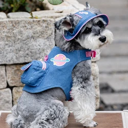Arnés ajustable de peluche para Pomerania y Schnauzer - Cómodo para verano y viajes