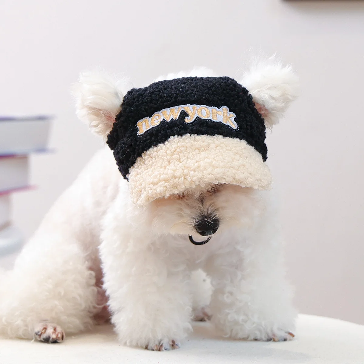 Gorro cálido de lana de cordero para mascotas, gorro de béisbol bordado para ocio al aire libre, accesorios para perros pequeños - imagen 3